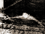 iʐ^j